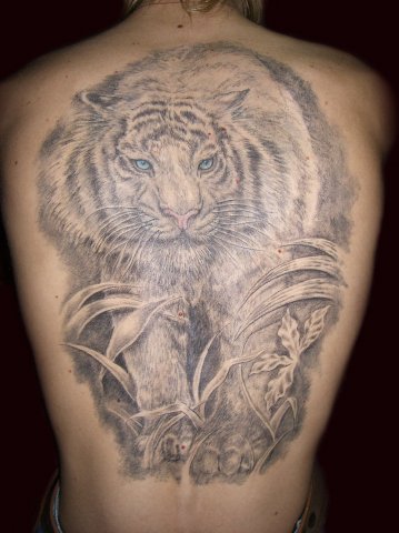 Фото и  значения татуировки Тигр. X_c934128f